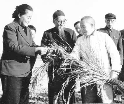 1963年，史良(左)在江苏省吴县长桥大队视察水稻模范陈永康(右)的试验田。 资料图片