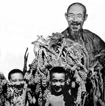1950年10月全国粮棉普遍丰收，图为翻身农民和他的丰收（爷爷和藏在谷子里的两个孙子笑逐颜开）。