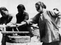 生产自救战胜灾荒。图为江苏省泗洪县妇女在进行副业生产--磨粉。1950年4月17日内务部发出关于帮助重灾区部分灾民外移或者回乡生产的指示。