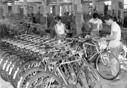 1950年4月，新中国第一个国产自行车品牌“飞鸽”诞生在天津，上海、广州和青岛也相继建立起大型自行车厂。目前中国已成为“自行车生产王国”。图为50年代天津自行车厂。