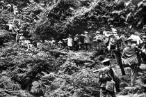 人民解放军三百余里长途奔袭消灭土匪。1950年2月中南和华东新解放区剿匪取得重大成绩。