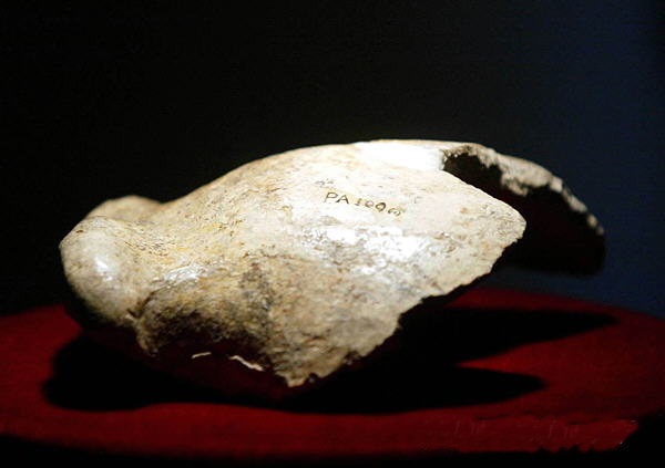 1929年12月2日，中国著名古人类学家、史前考古学家和地质古生物学家裴文中带领考古发掘人员在北京周口店发掘出北京猿人第一个完整的头盖骨。