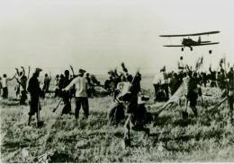 1953年春空军某部出动飞机灭蝗救灾