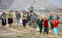 2005年3月新疆疏勒县维吾尔族农民到克孜河南岸植树造林，以改善两岸生态环境