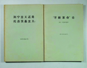 “灰皮书”:一个时代的缩影 (2)